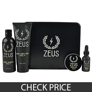 Zeus Everyday Beard Grooming Kit